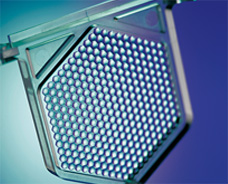 Ni-E-尼康研究級(jí)生物顯微鏡-上海思長(zhǎng)約光學(xué)經(jīng)銷