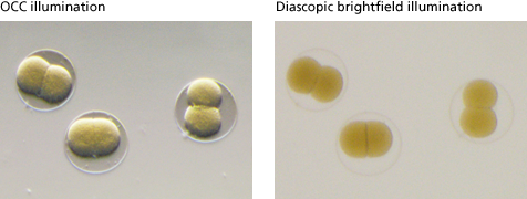 SMZ1270/1270i尼康3D顯微鏡-上海思長約光學銷售