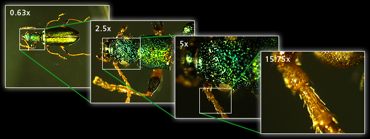 SMZ25尼康研究級立體顯微鏡-上海思長約光學(xué)銷售